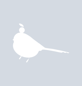 Hello world!